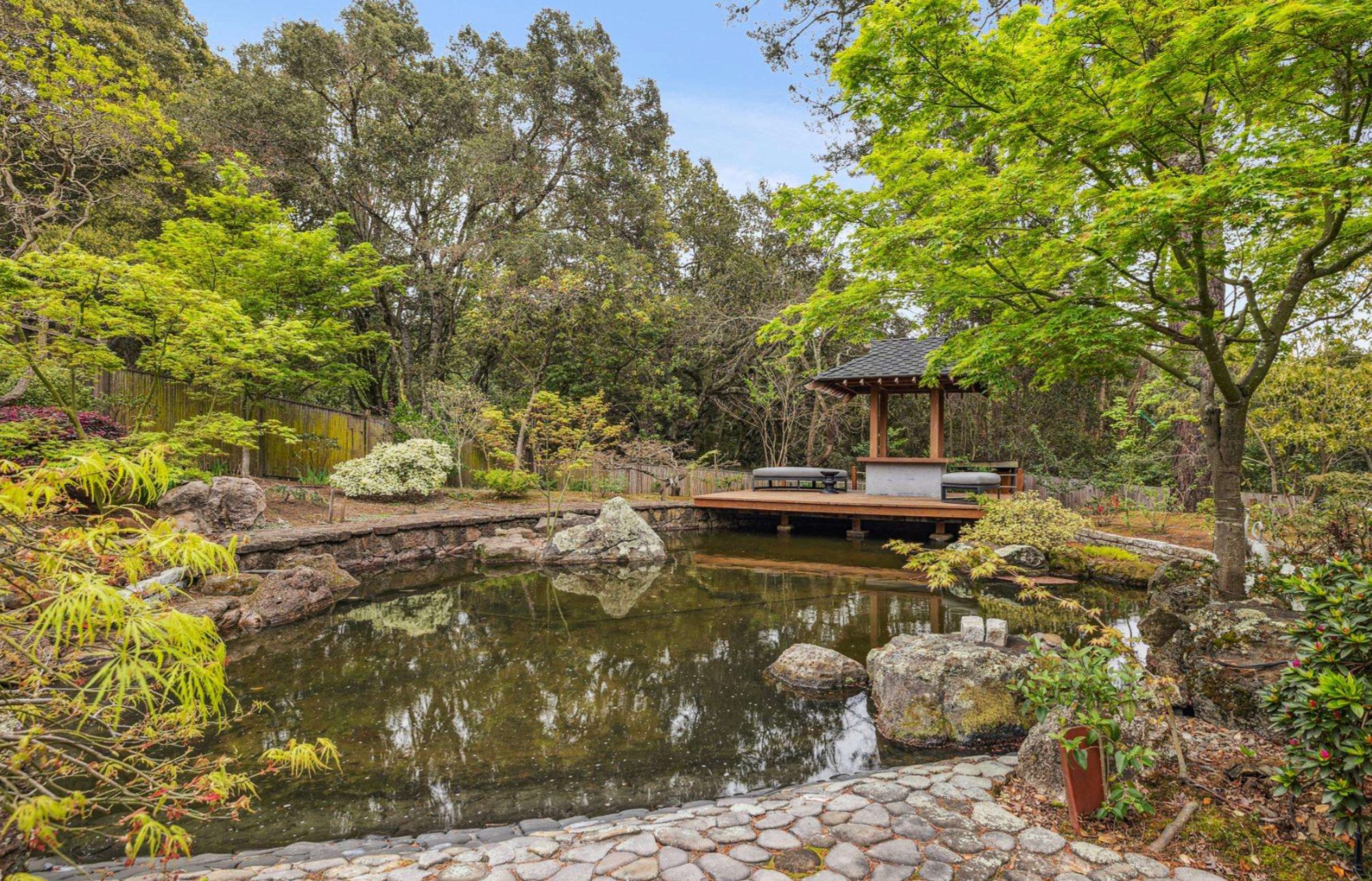 293 Elysian Fields Drive — Koi pond and timber pavilion